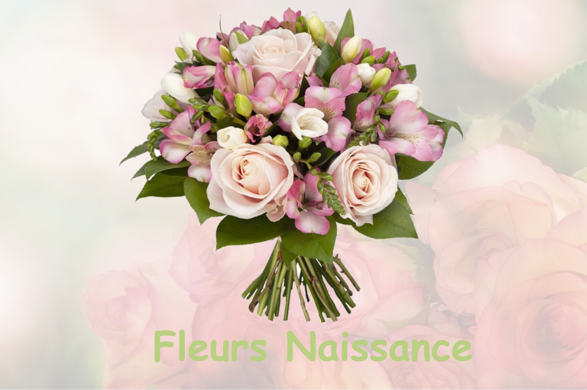 fleurs naissance SAINT-PIERRE-DE-VARENGEVILLE